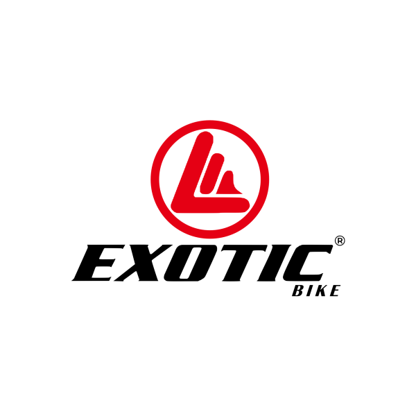 E-Bike 5